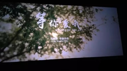 觀影