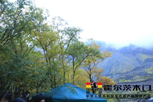 探源“生態(tài)”基因 霍爾木門展現(xiàn)“生態(tài)產業(yè)鏈”實力,探源“生態(tài)”基因,,霍爾木門展現(xiàn)“生態(tài)產業(yè)鏈”實力