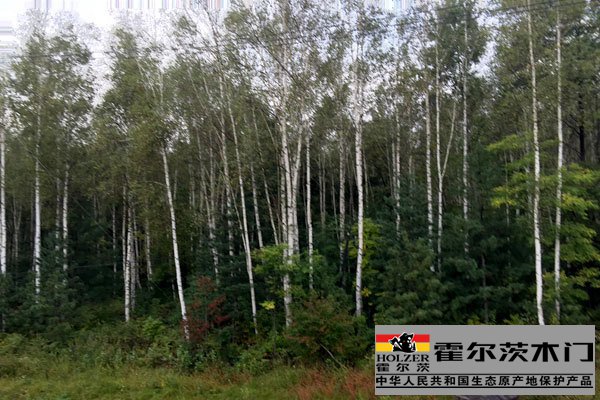 長白山