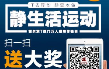 “T”去浮華 靜顯本色-霍爾茨T型門關注送IPADmi