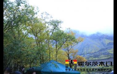 探源“生態(tài)”基因 霍爾木門展現(xiàn)“生態(tài)產(chǎn)業(yè)鏈”