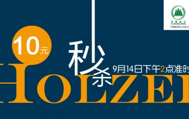 “T”去浮華 靜顯本色--霍爾茨T型門十元秒殺