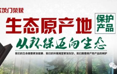 霍爾茨生態體系木門，讓生態住您家！