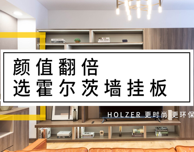 顏值翻倍，選霍爾茨墻掛板！